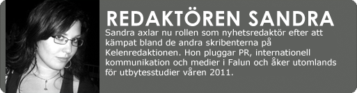 Sandras blogg