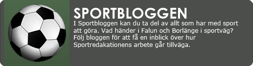 Sportbloggen